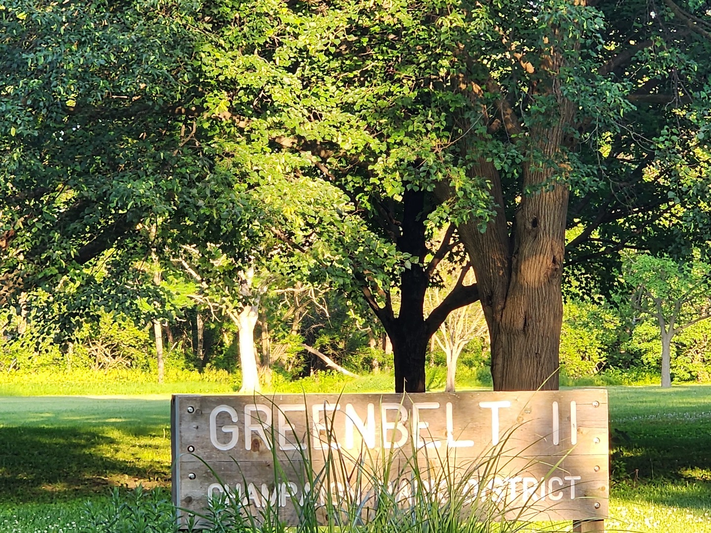 1825 Crescent Drive Champaign, IL 61821 - Photo 21 of 24 a street sign is sitting on a middle of a yard