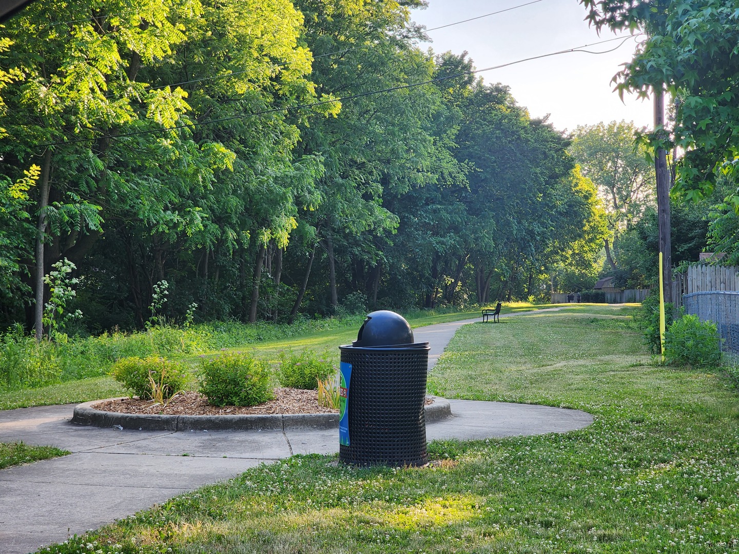 1825 Crescent Drive Champaign, IL 61821 - Photo 23 of 24 a garden view