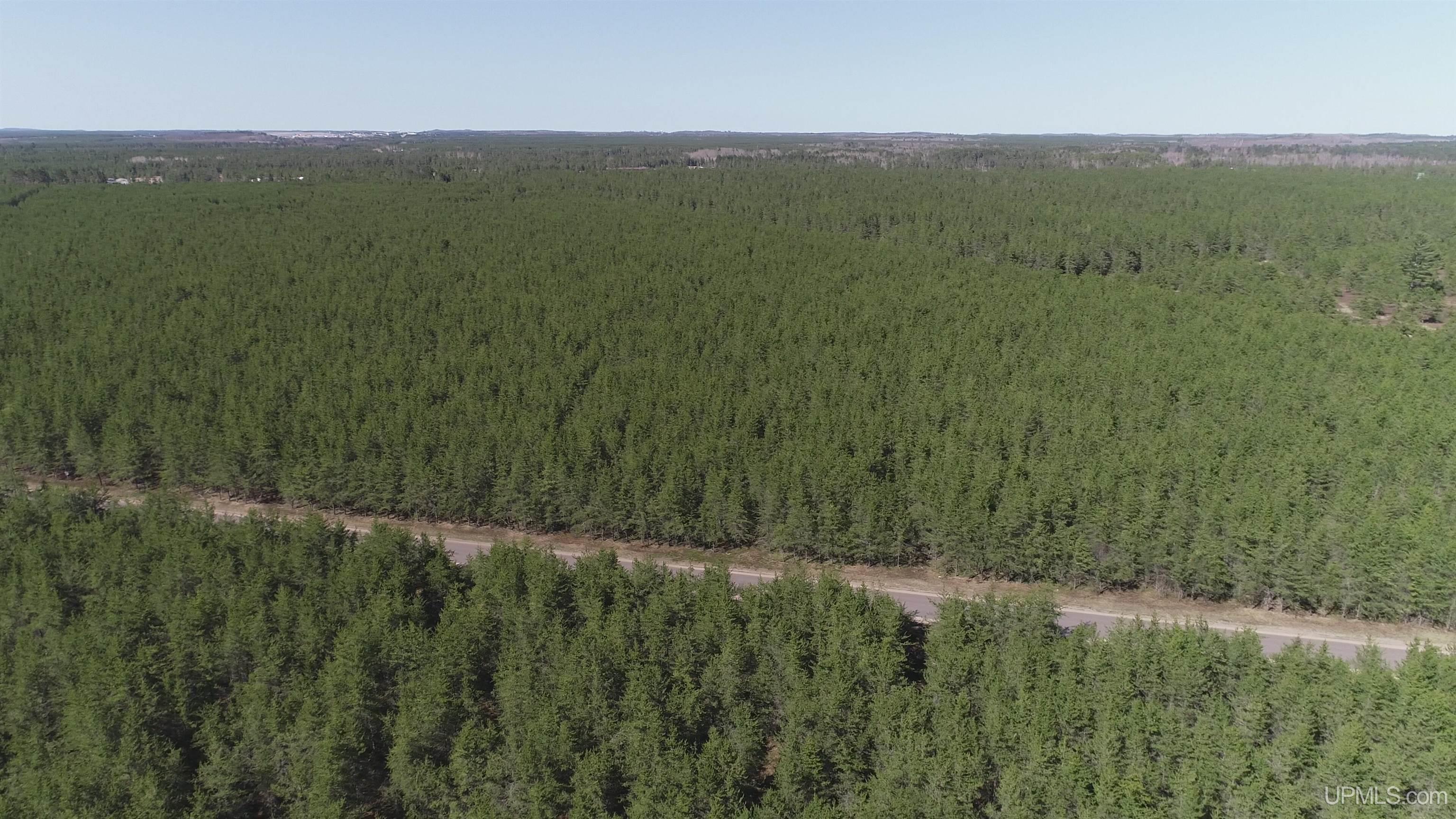 2 Rice Lake Road Gwinn, MI 49841 - Photo 11 of 24
