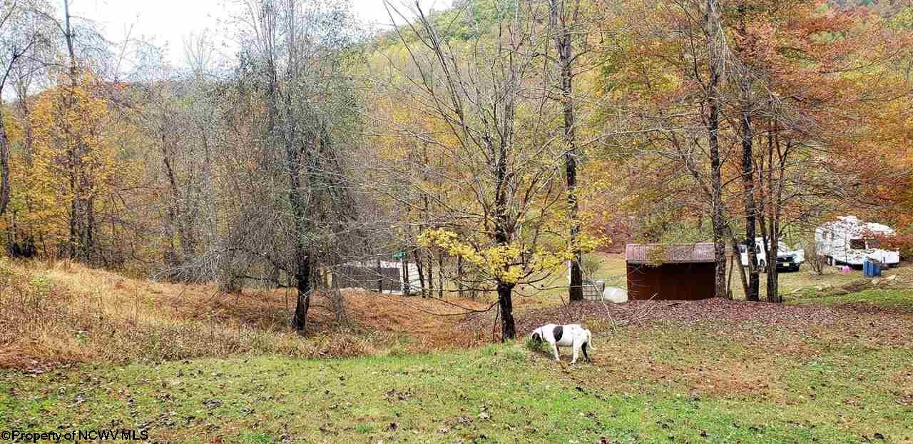 434 Laurel Fork Road Webster Springs, WV 26288 - Photo 14 of 19 Gallery Image 14