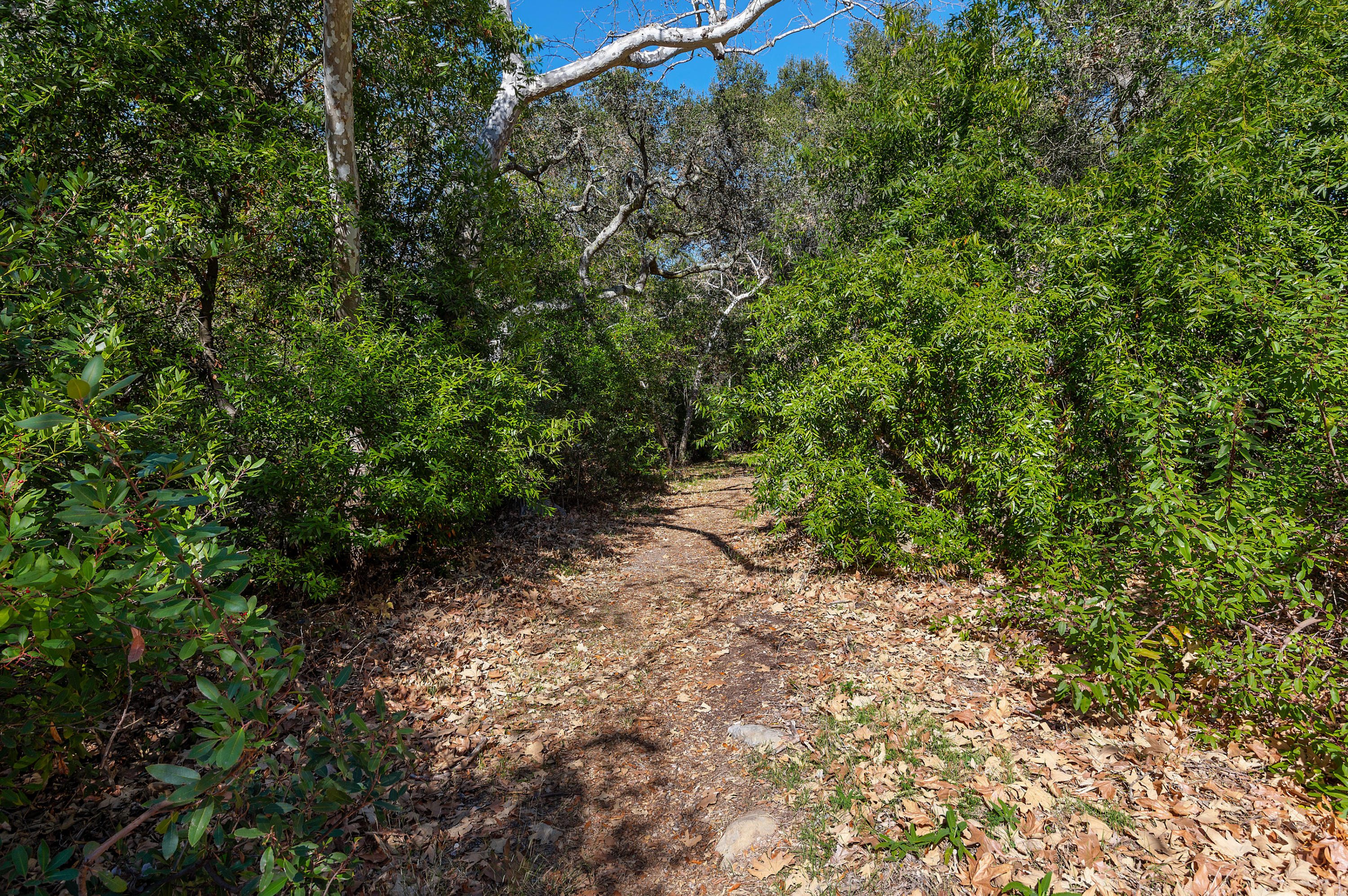 2333 Las Canoas Road Santa Barbara, CA 93105 - Photo 23 of 23 23 - Walking Trails