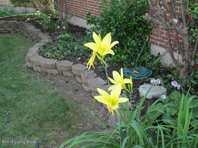 6829 Fenway Road Louisville, KY 40258 - Photo 5 of 13 4