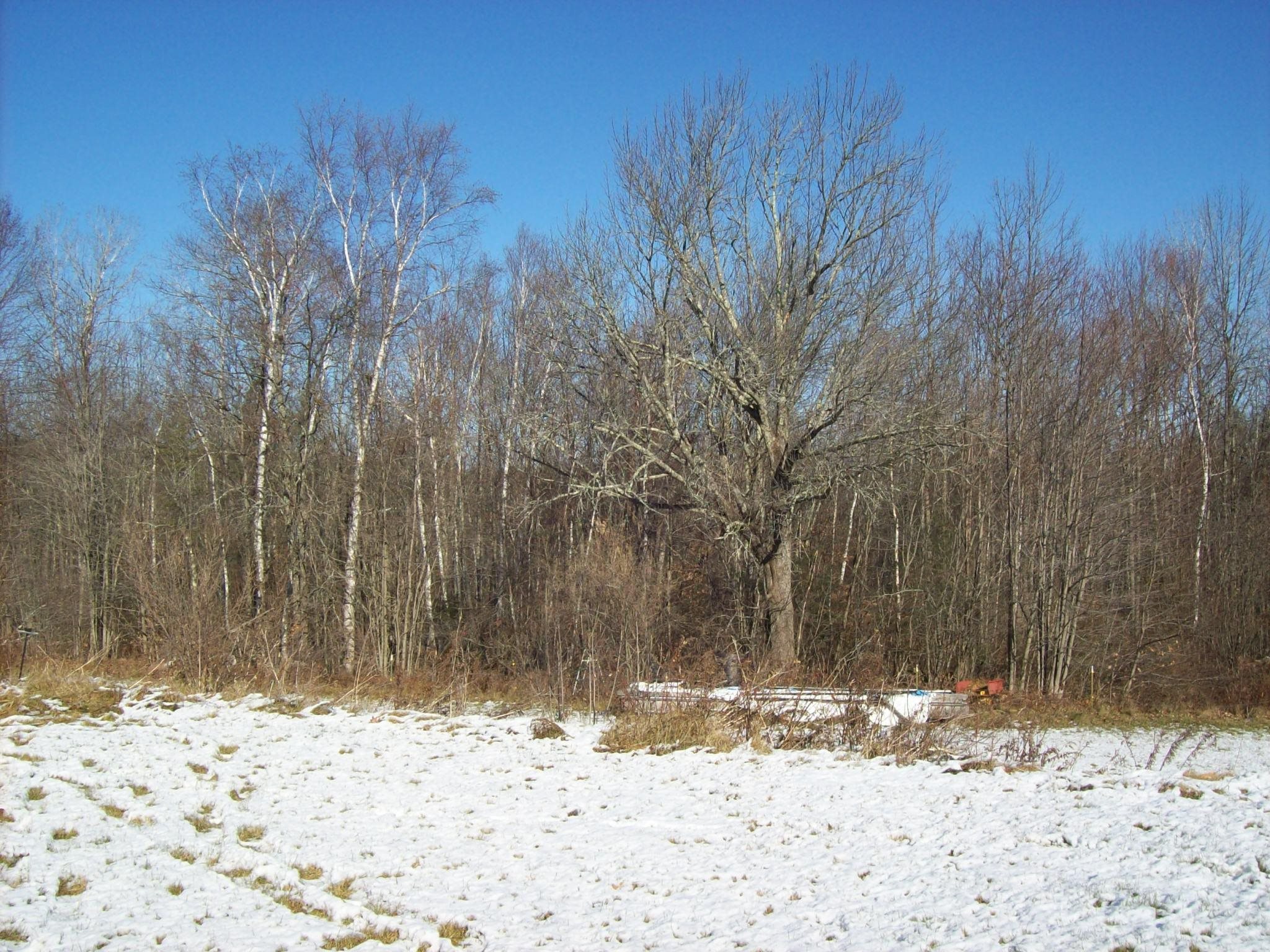 1153 Ten Rod Road Farmington, NH 03835 - Photo 18 of 19