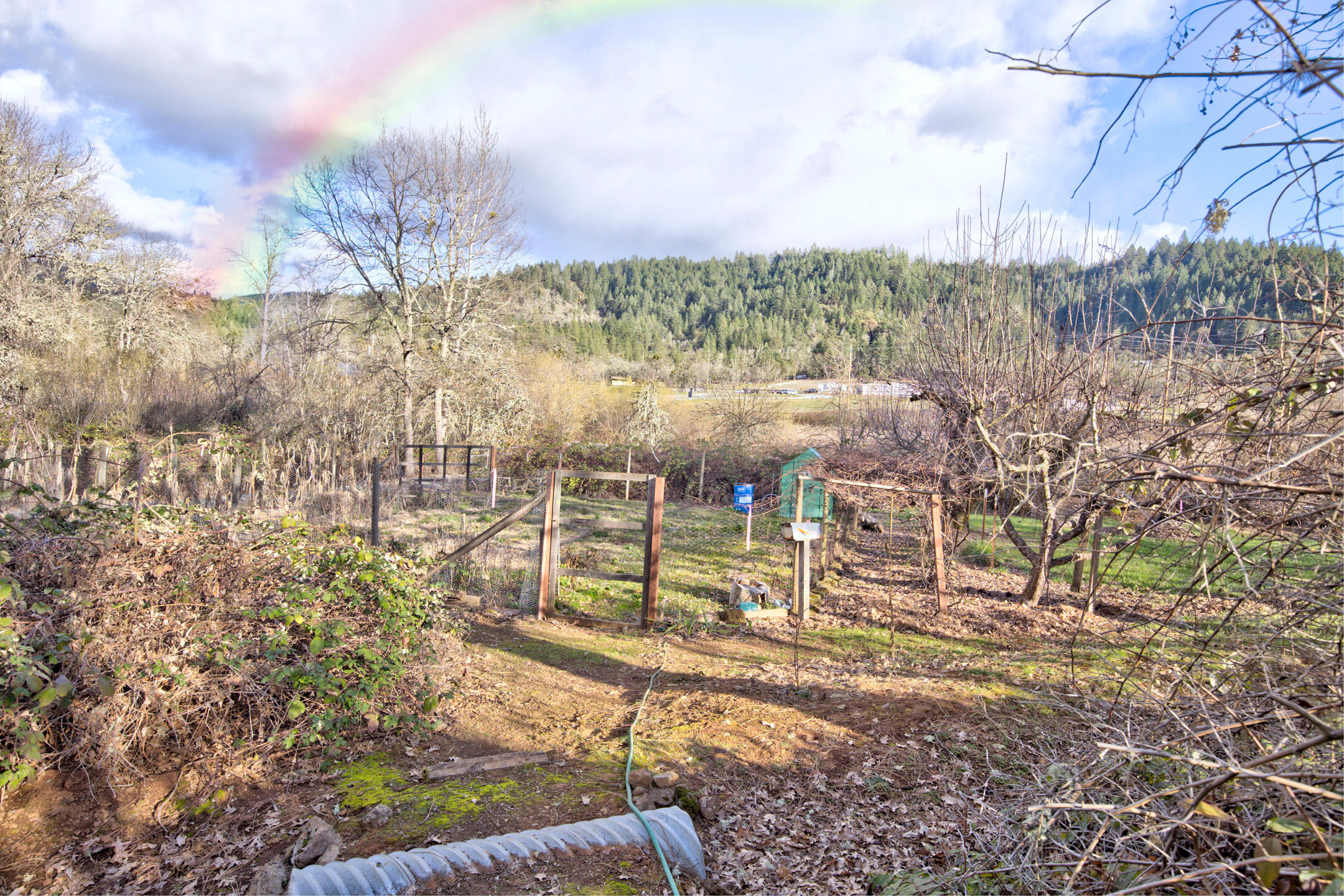 334 Murphy Creek Road Grants Pass, OR 97527 - Photo 44 of 51 murphycr048
