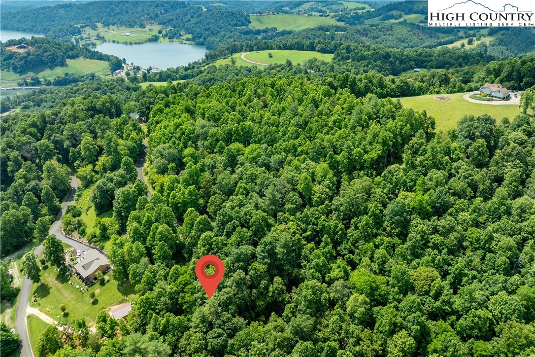 Lot 21 Lake Ridge Road Butler, TN 37640 - Photo 5 of 25