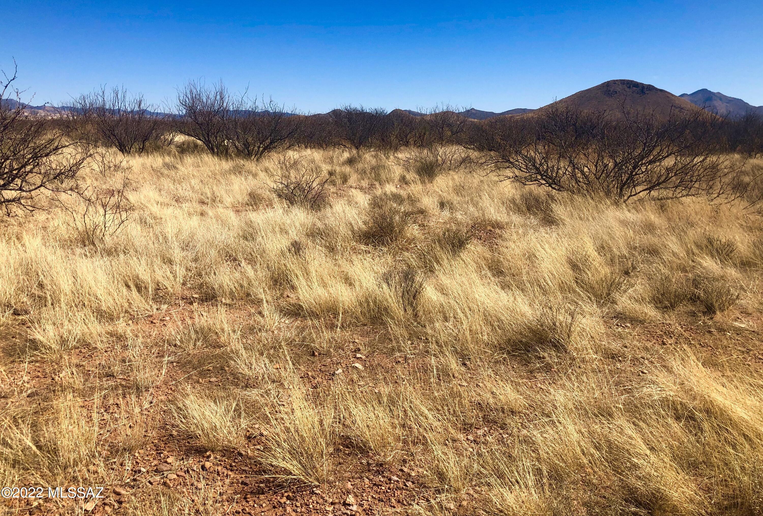5.11-ac North Rucker Canyon Road Elfrida, AZ 85610 - Photo 41 of 50