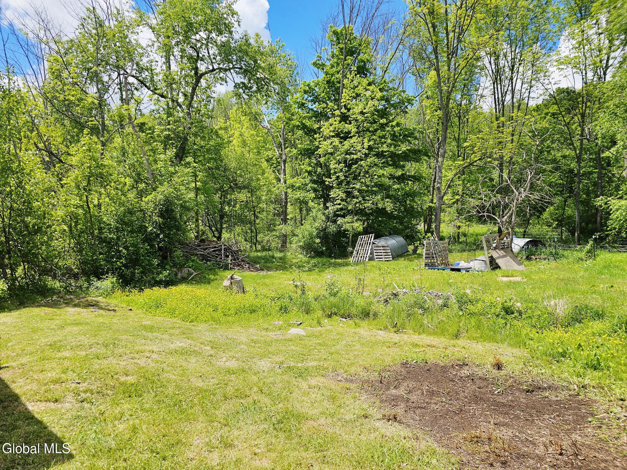 143 Gulf Road Rensselaerville, NY 12122 - Photo 19 of 24 20260601_140830