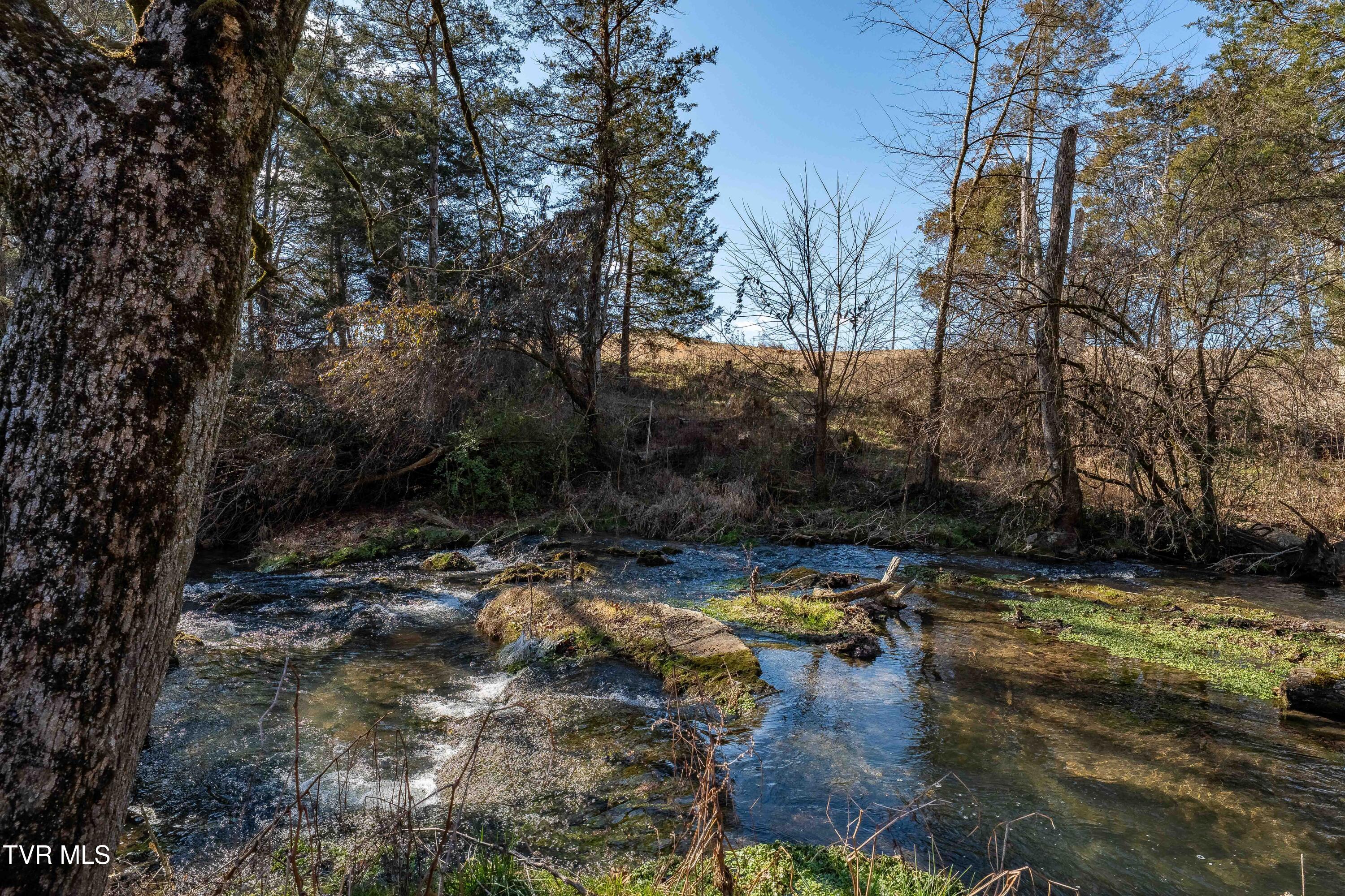 2715 Old Stage Road Afton, TN 37616 - Photo 65 of 74 2715 Old Stage Rd (39 of 73)