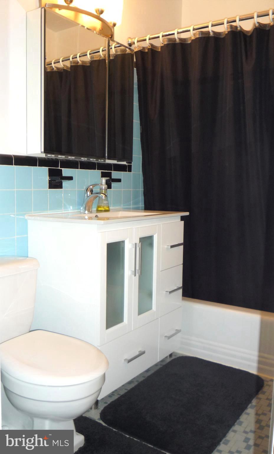 1300 South Arlington Ridge Road, Unit 103 Arlington, VA 22202 - Photo 10 of 30 Updated Bathroom with Period Style