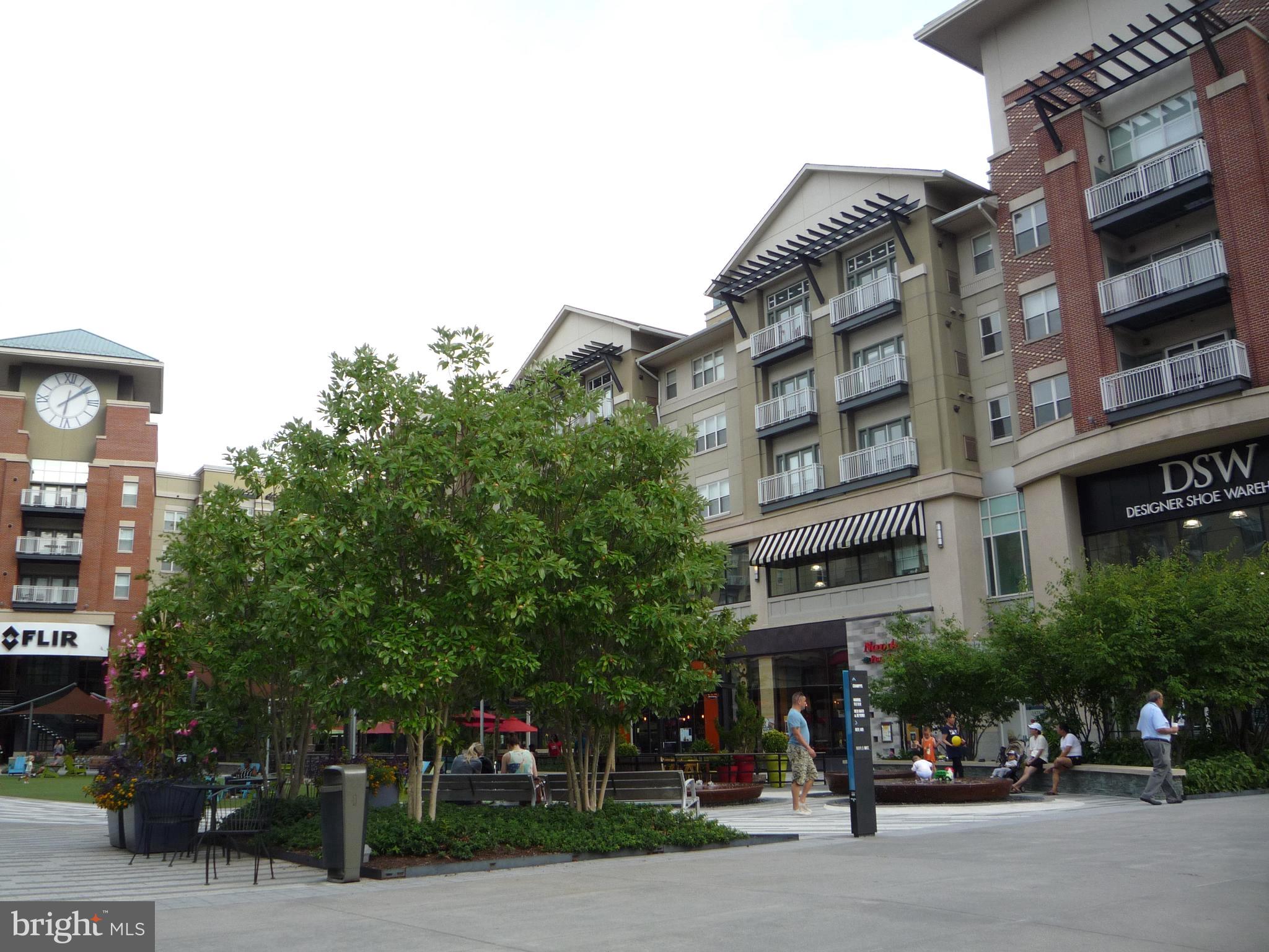 1300 South Arlington Ridge Road, Unit 103 Arlington, VA 22202 - Photo 27 of 30 Walking distance to shopping