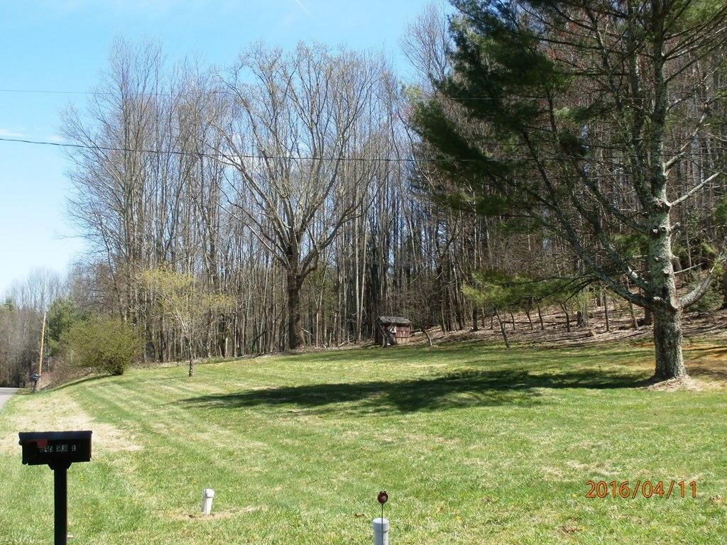 1145 Sluder Road Shady Valley, TN 37688 - Photo 4 of 20 Yard View
