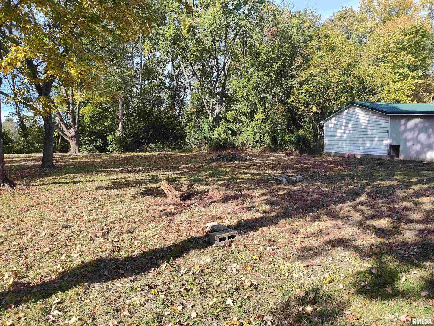 1207 Southwest 6th Street Fairfield, IL 62837 - Photo 7 of 24