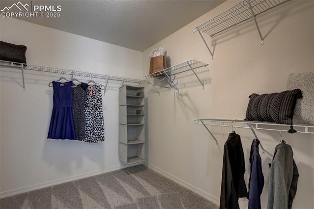 5057 Truscott Road Colorado Springs, CO 80925 - Photo 26 of 48 Spacious closet featuring carpet flooring