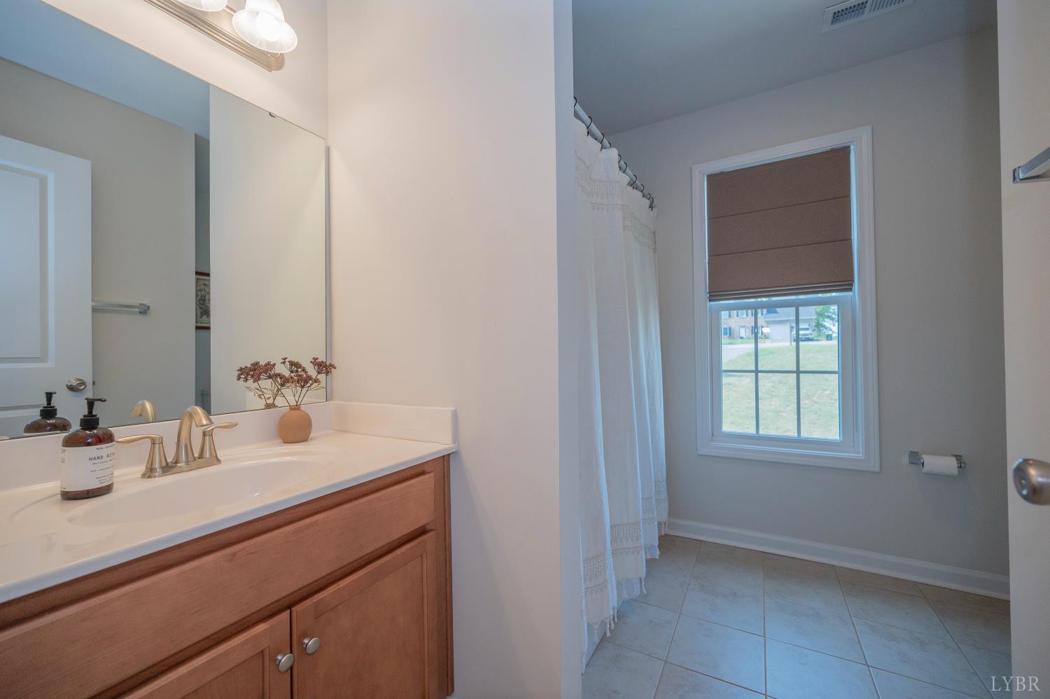 1024 Carriage Parkway Rustburg, VA 24588 - Photo 21 of 37 a bathroom with a sink a vanity and a mirror