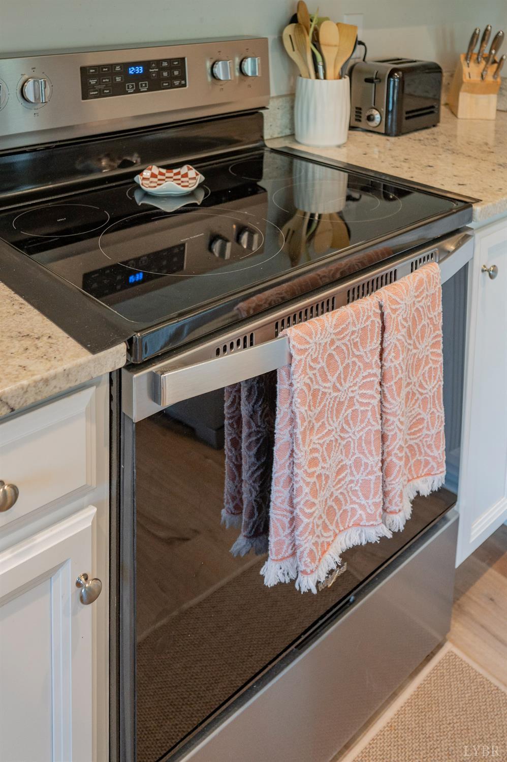 1024 Carriage Parkway Rustburg, VA 24588 - Photo 4 of 37 a close view of stove