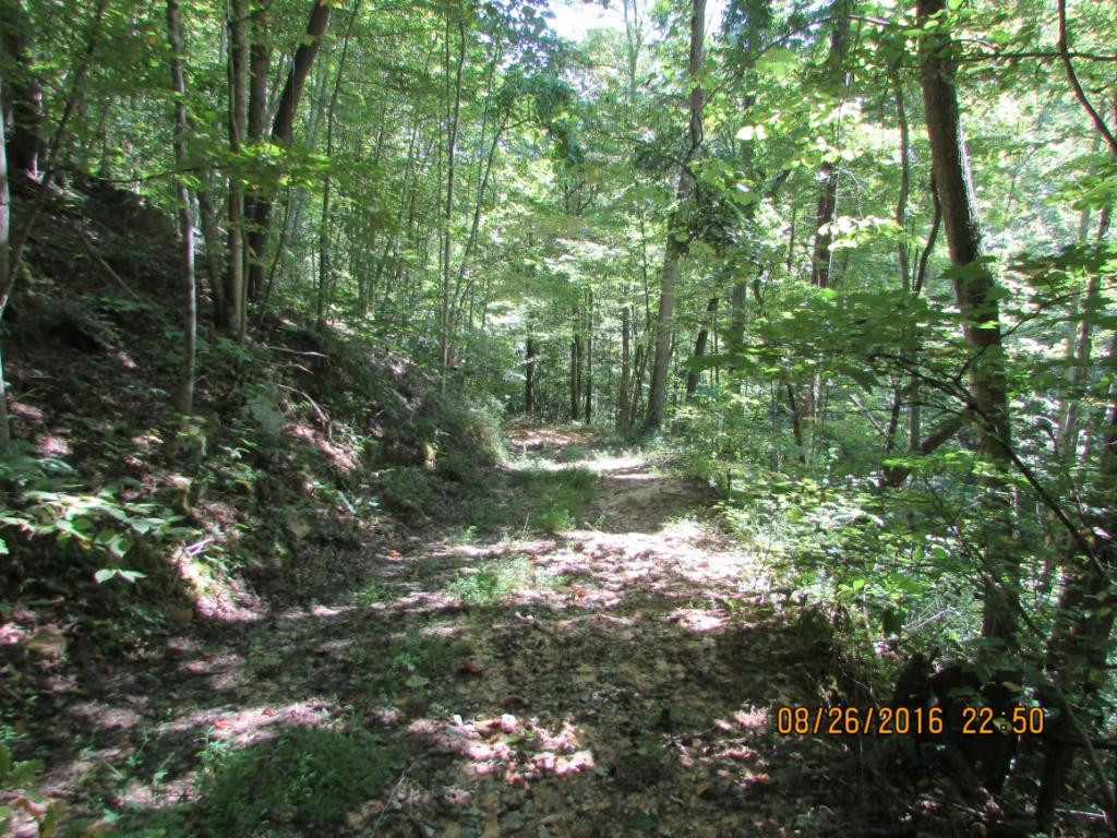 0 Brown Mountain Road Greeneville, TN 37745 - Photo 1 of 35 Photo 1