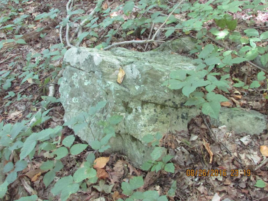 0 Brown Mountain Road Greeneville, TN 37745 - Photo 13 of 35 Photo 13