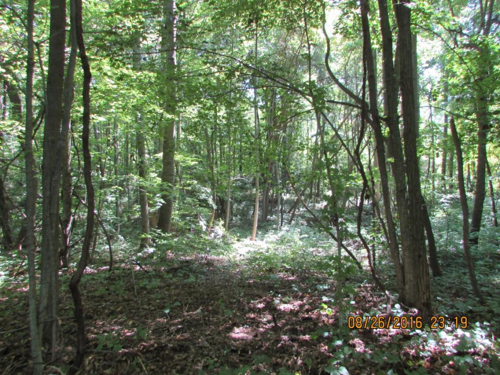 0 Brown Mountain Road Greeneville, TN 37745 - Photo 14 of 35 Photo 14