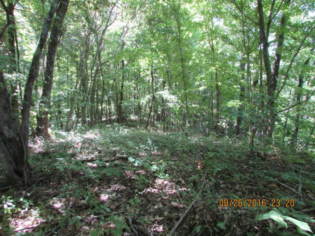 0 Brown Mountain Road Greeneville, TN 37745 - Photo 17 of 35 Photo 17