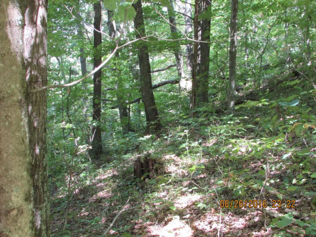 0 Brown Mountain Road Greeneville, TN 37745 - Photo 20 of 35 Photo 20