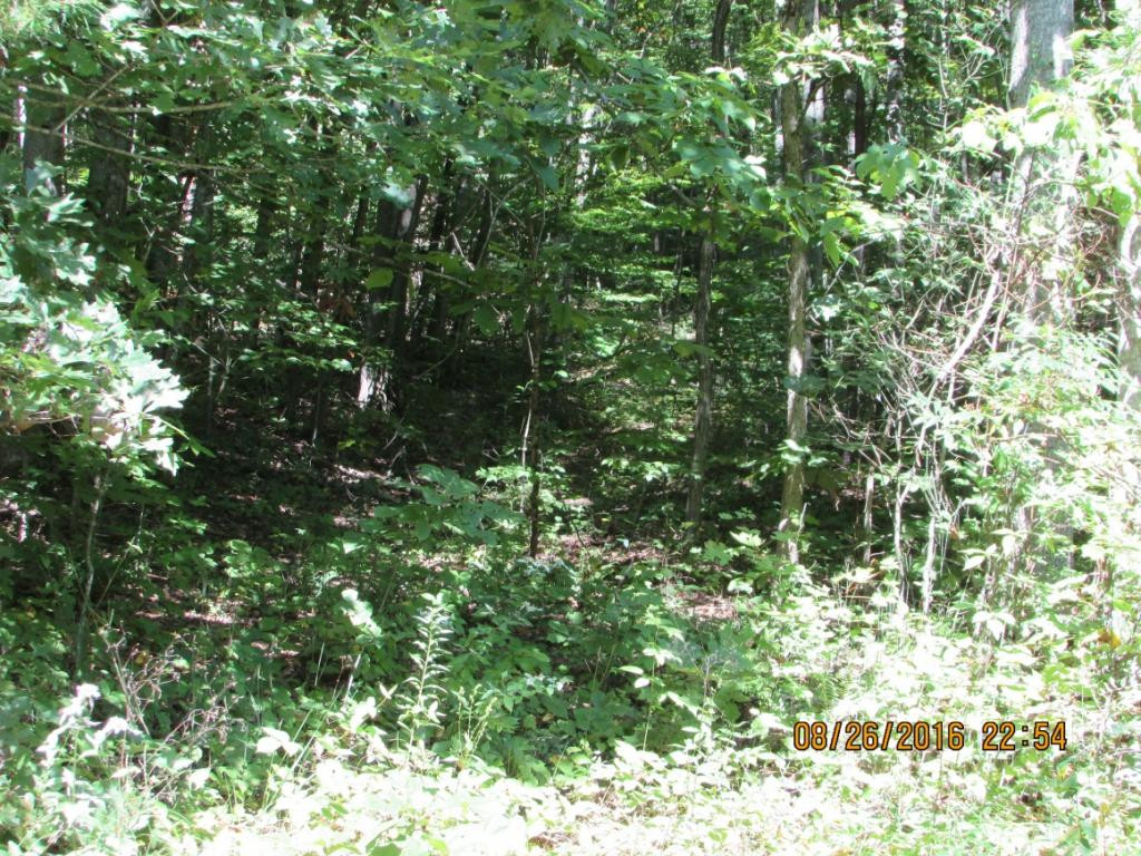 0 Brown Mountain Road Greeneville, TN 37745 - Photo 2 of 35 Photo 2