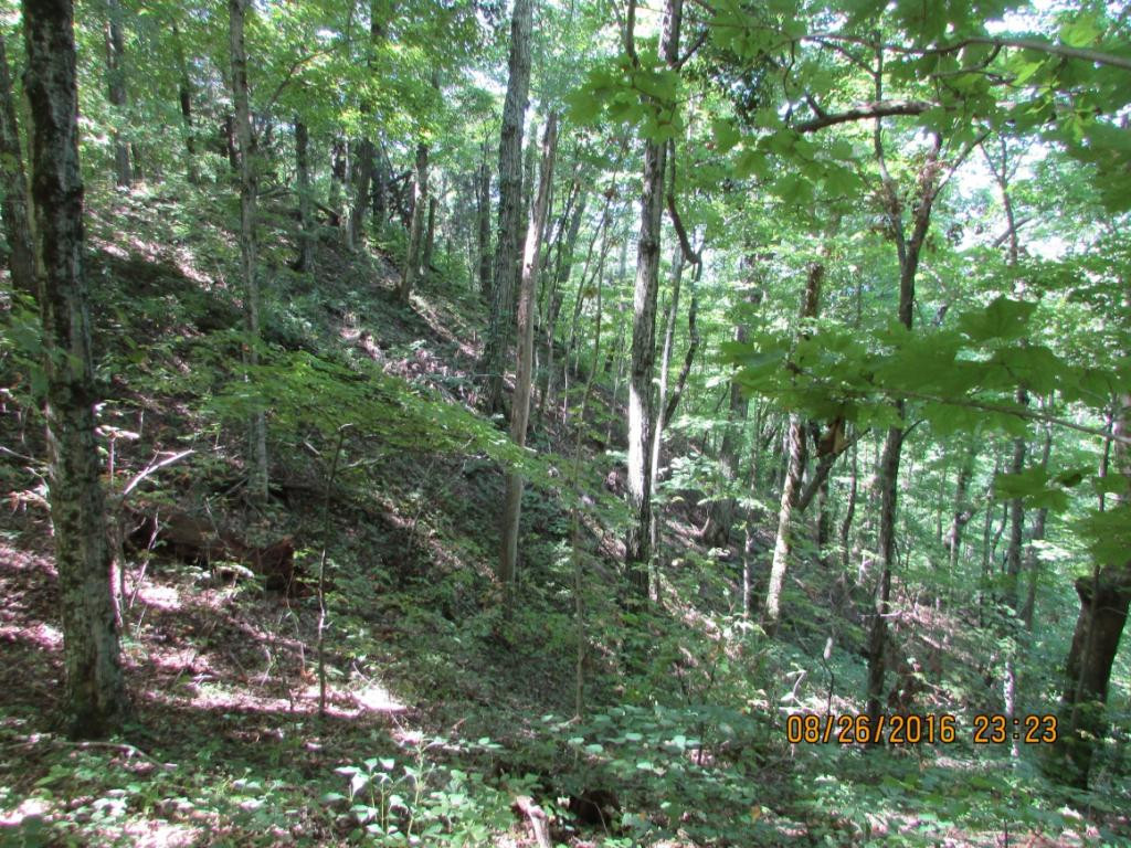 0 Brown Mountain Road Greeneville, TN 37745 - Photo 22 of 35 Photo 22