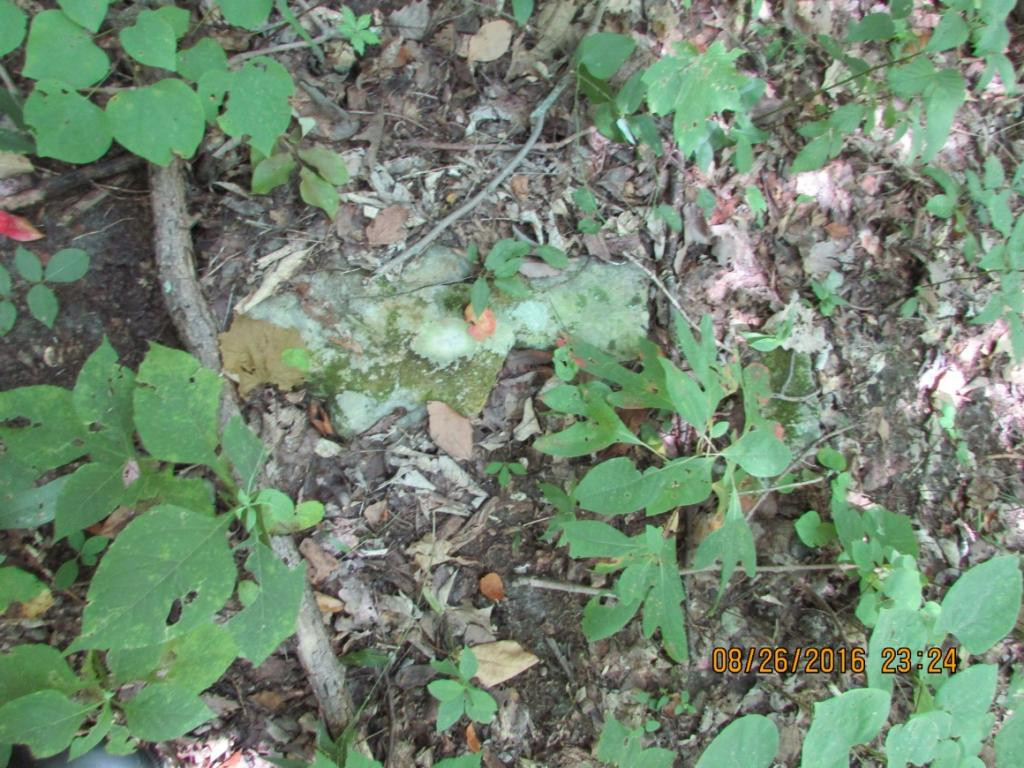 0 Brown Mountain Road Greeneville, TN 37745 - Photo 23 of 35 Photo 23