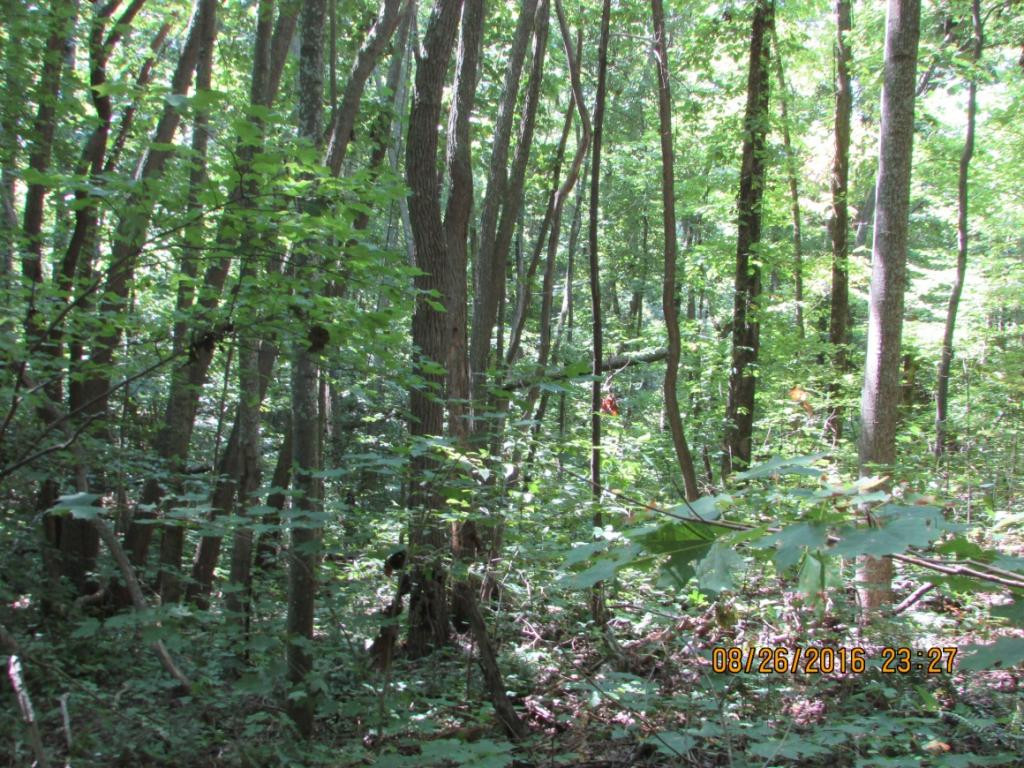 0 Brown Mountain Road Greeneville, TN 37745 - Photo 29 of 35 Photo 29