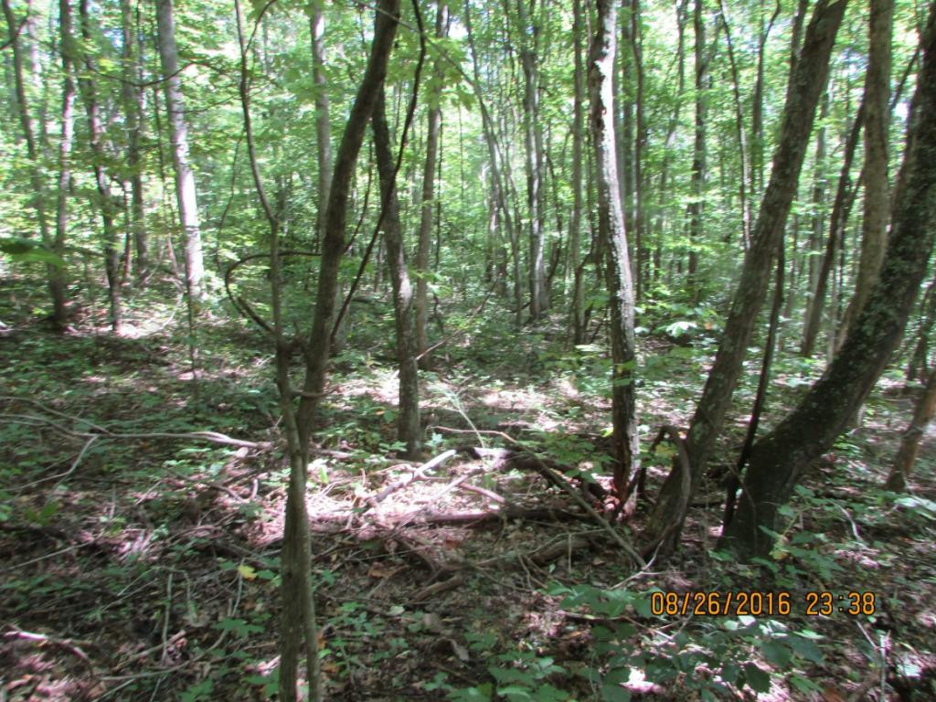 0 Brown Mountain Road Greeneville, TN 37745 - Photo 34 of 35 Photo 34