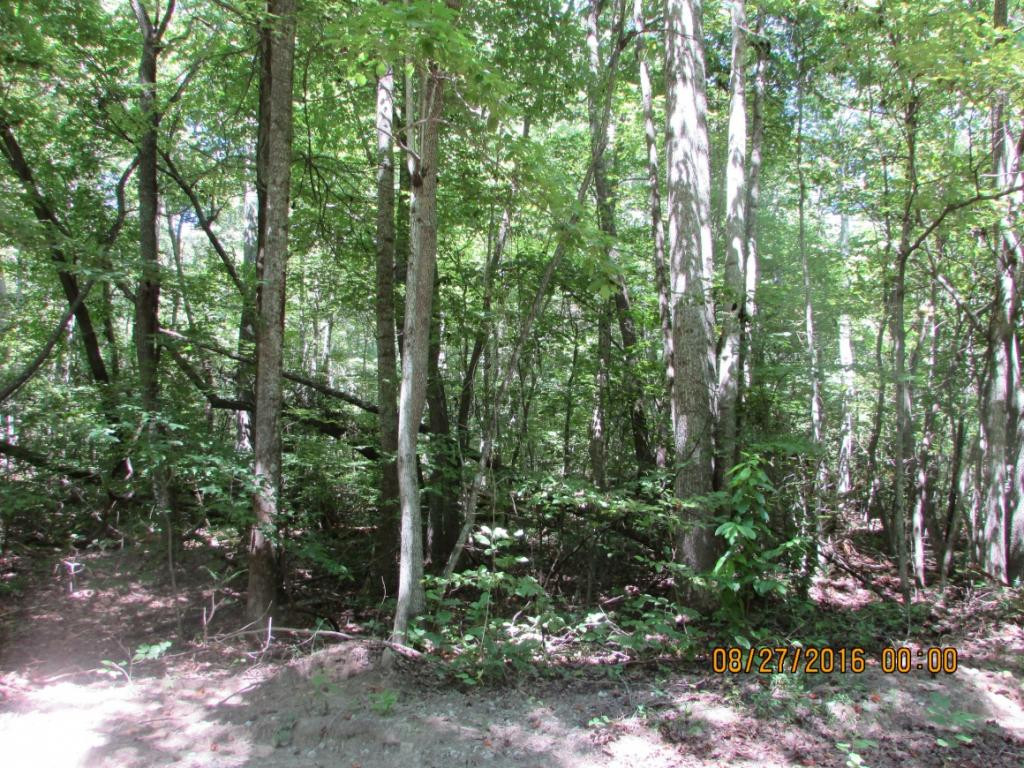 0 Brown Mountain Road Greeneville, TN 37745 - Photo 35 of 35 Photo 35