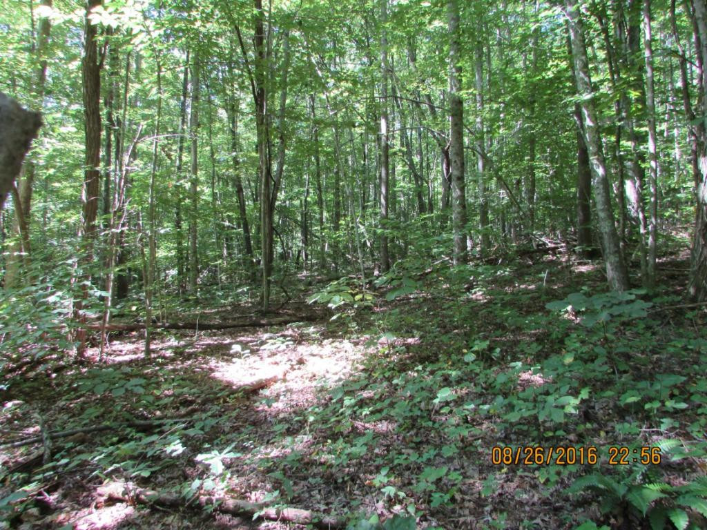 0 Brown Mountain Road Greeneville, TN 37745 - Photo 4 of 35 Photo 4