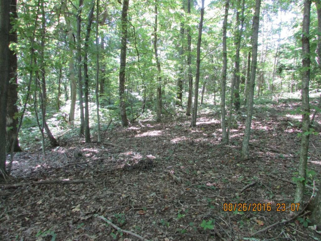 0 Brown Mountain Road Greeneville, TN 37745 - Photo 7 of 35 Photo 7