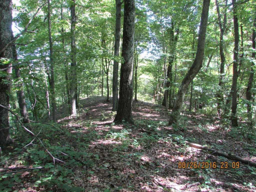 0 Brown Mountain Road Greeneville, TN 37745 - Photo 8 of 35 Photo 8