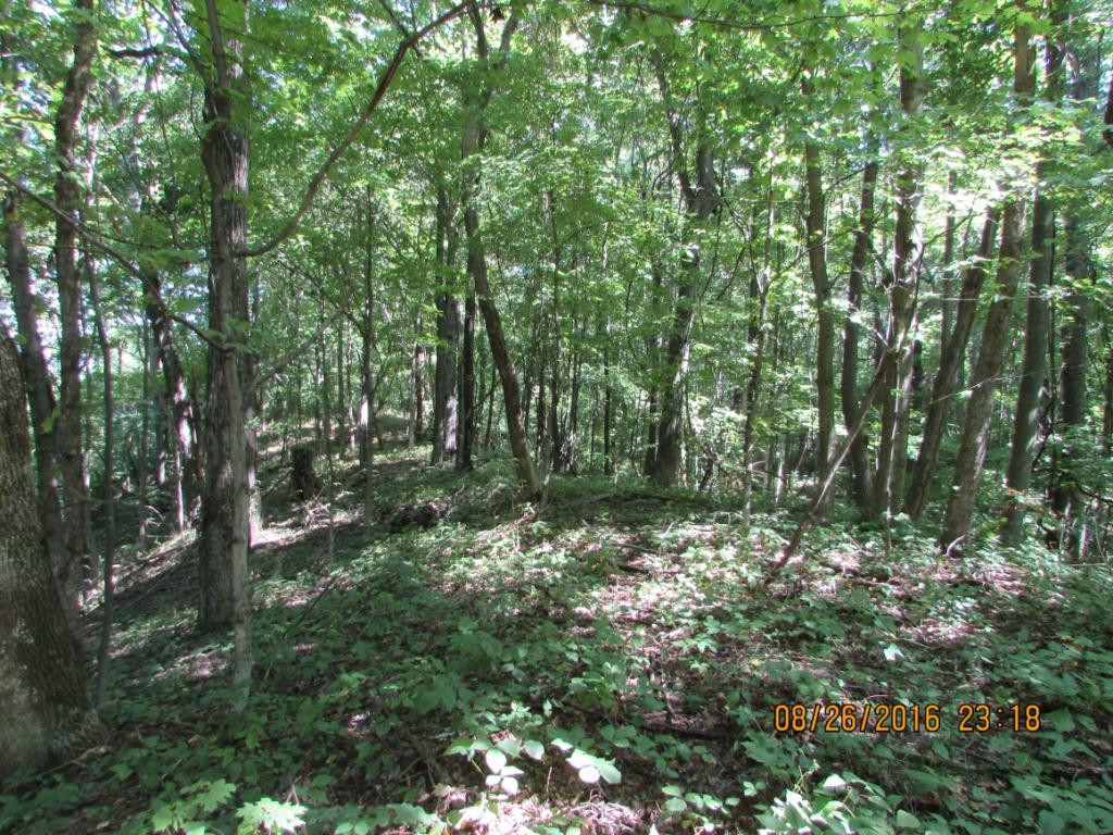 0 Brown Mountain Road Greeneville, TN 37745 - Photo 10 of 35 Photo 10
