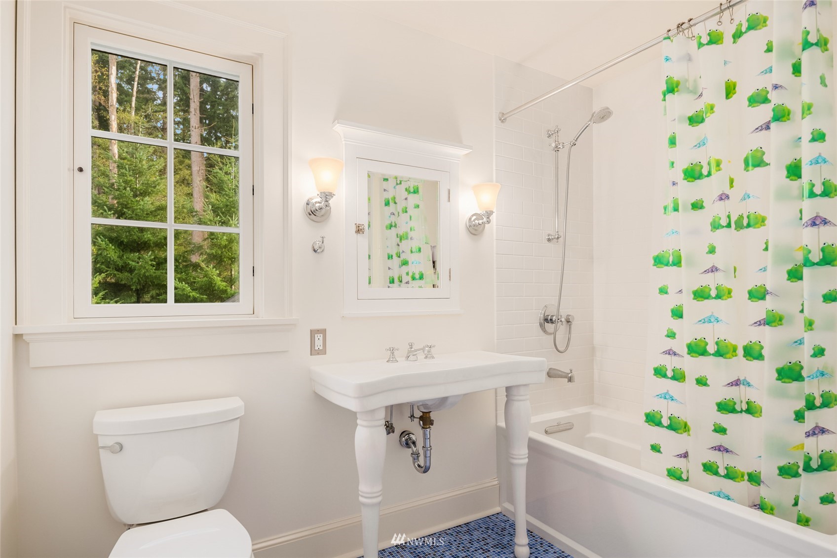 8143 Headlands Way Clinton, WA 98236 - Photo 17 of 26 a bathroom with a sink a toilet and a bathtub