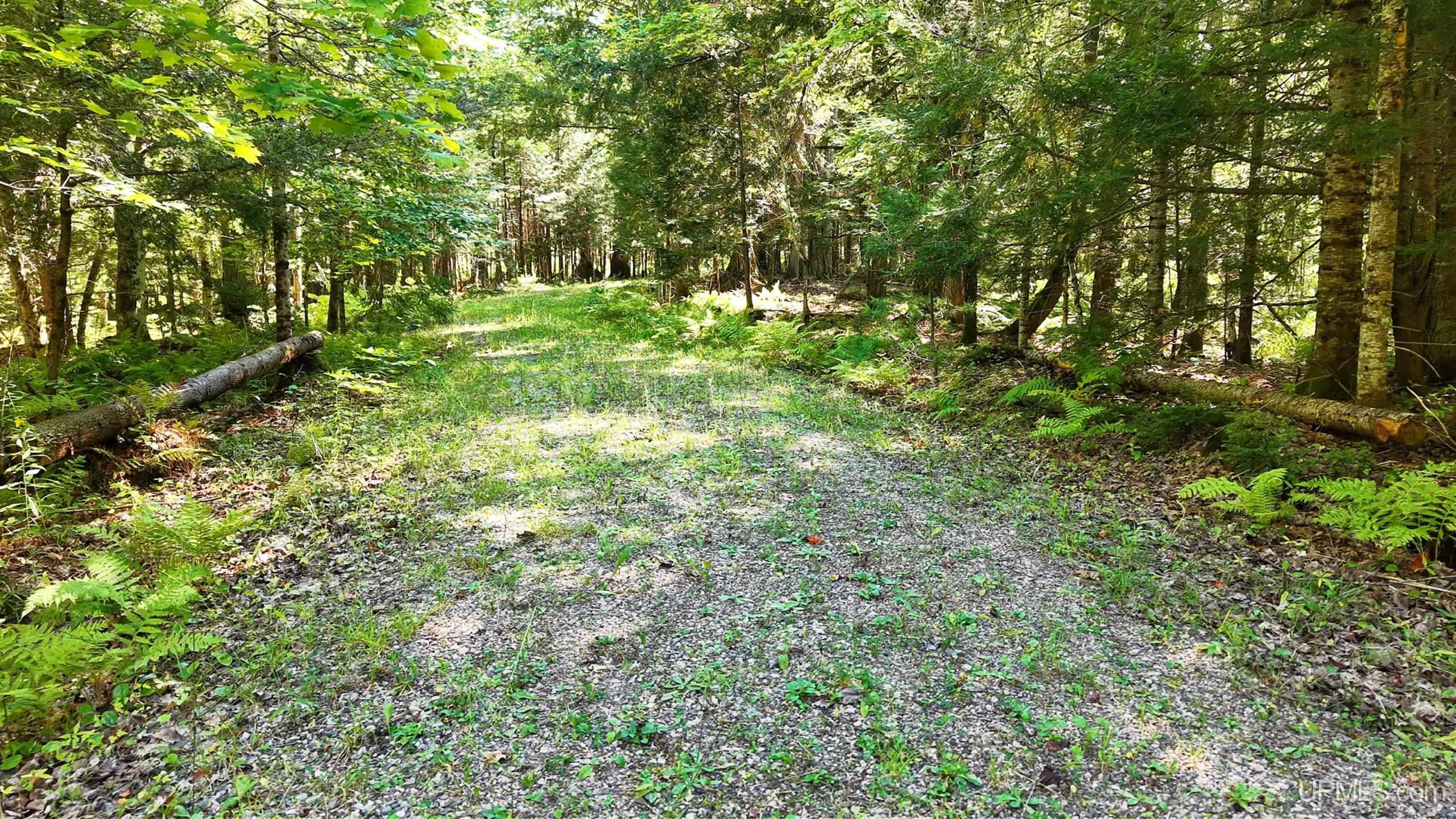 18665 Co 533 Road Rock, MI 49880 - Photo 16 of 25 Gallery Image 16