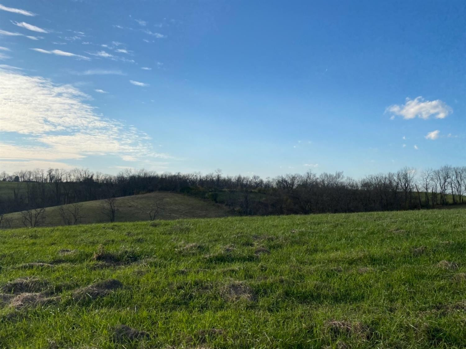 591 Rockridge Road Paris, KY 40361 - Photo 47 of 61 Photo 48