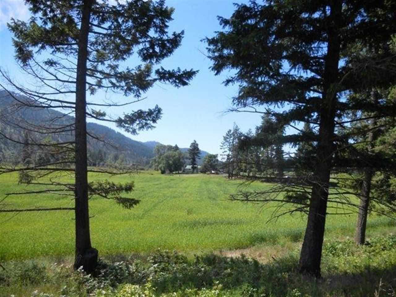 Lot 2 Williams Lake Road Colville, WA 99114 - Photo 4 of 20