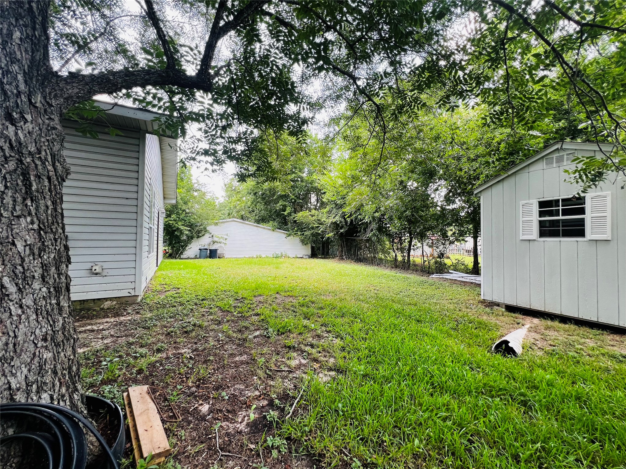 208 East 20th Street Cameron, TX 76520 - Photo 19 of 20 a view of backyard with a garden and trees