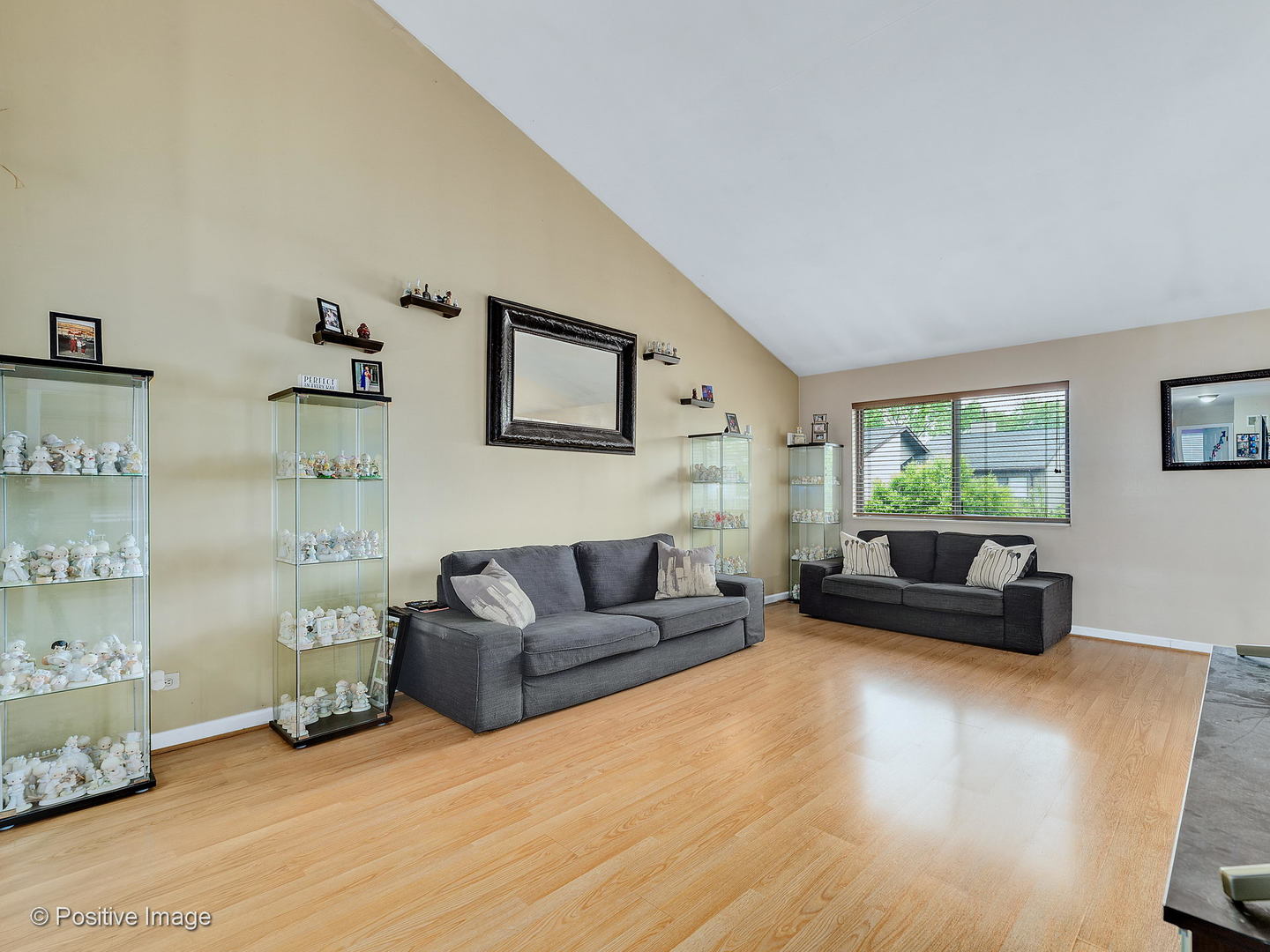 773 High Ridge Road Roselle, IL 60172 - Photo 2 of 18 a living room with furniture and a window