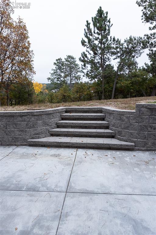 555 Hidden Marsh Road Monument, CO 80132 - Photo 47 of 47 a view of backyard with green space