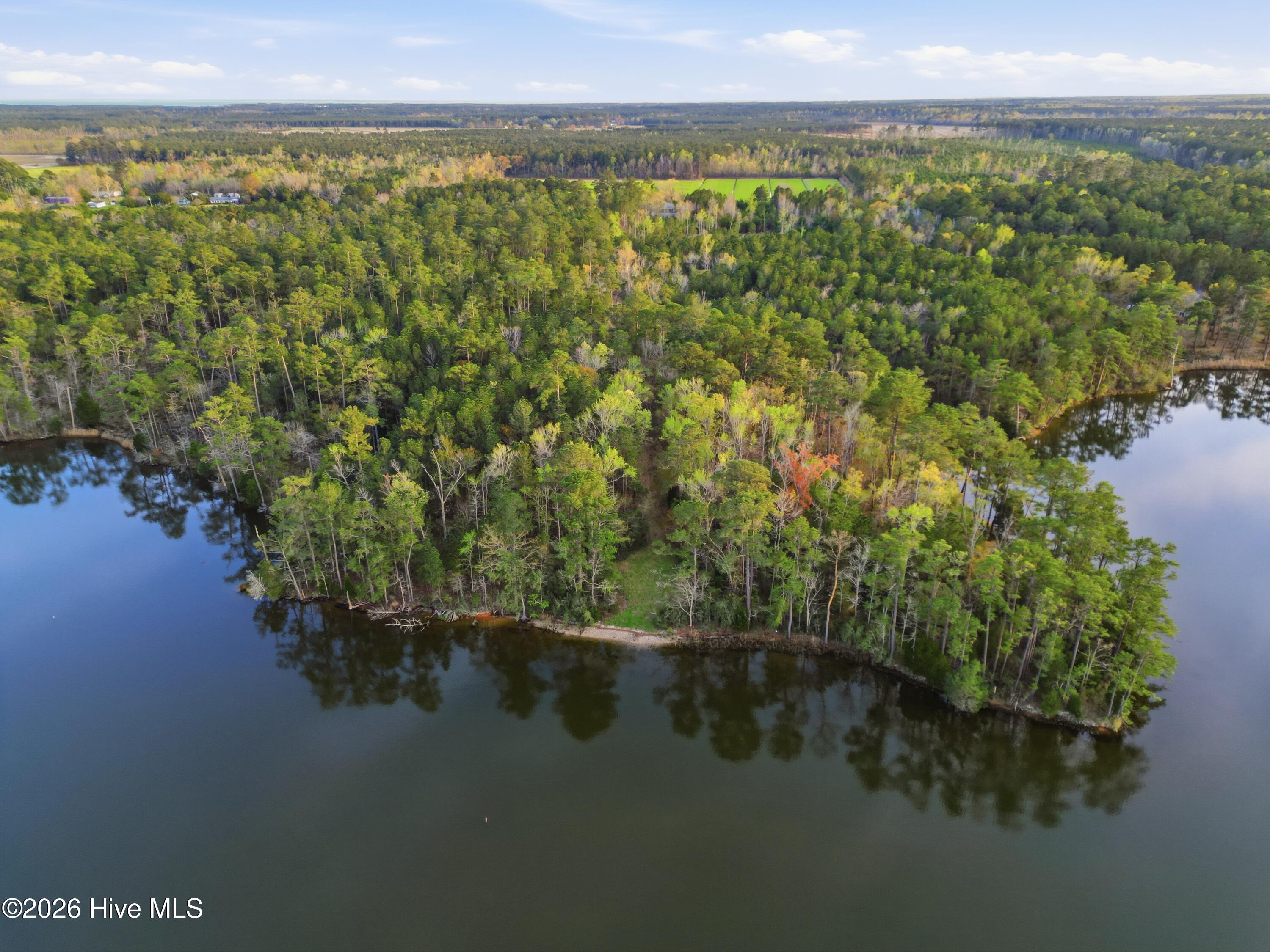 0 Florence Road Merritt, NC 28556 - Photo 16 of 31 17_dji_0043