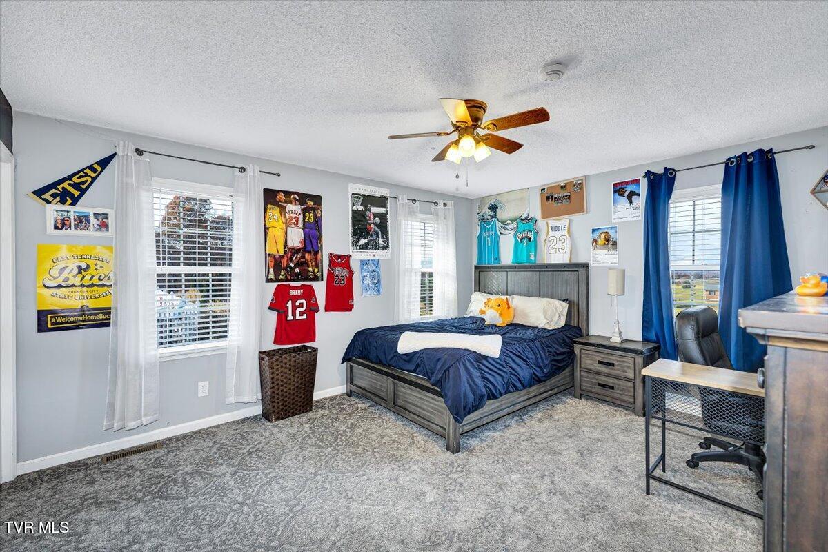 357 Boonesboro Road Gray, TN 37615 - Photo 22 of 50 12-128A8888