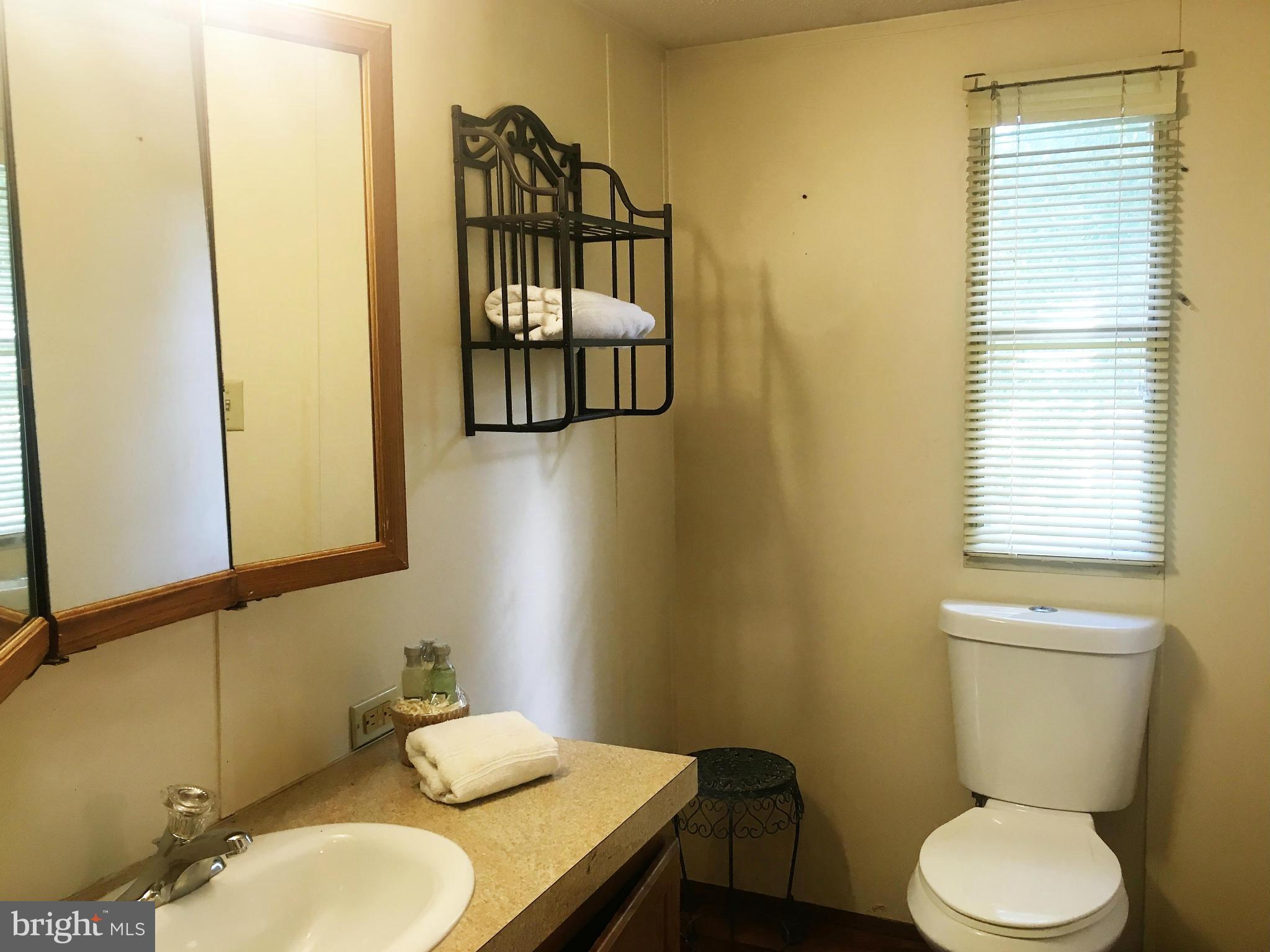 1523 Dooley Road Whiteford, MD 21160 - Photo 13 of 21 Bath (Master)
