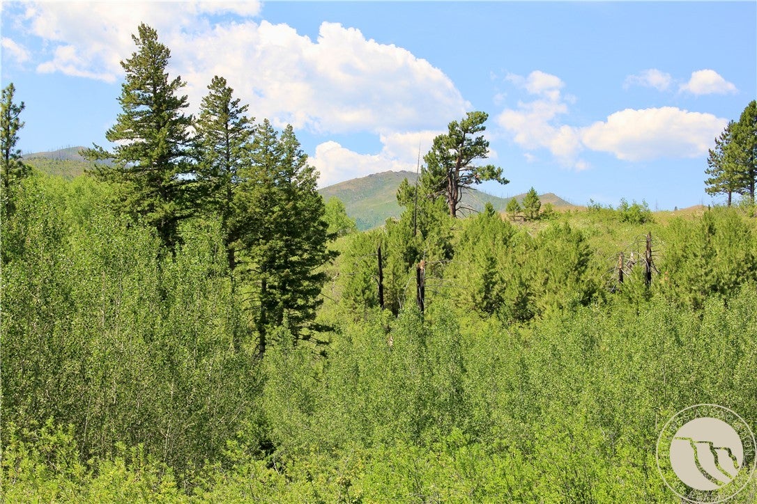 378 West Bridger Creek Road Reed Point, MT 59069 - Photo 21 of 45 Gallery Image 21