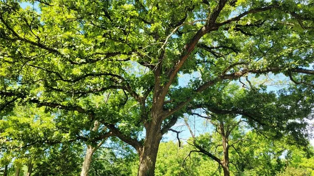 $25,000 | 610 East 7th Street, Pleasanton, KS 66075