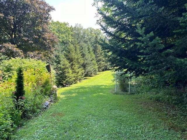 10 Jackson Road Guilford, VT 05301 - Photo 28 of 39