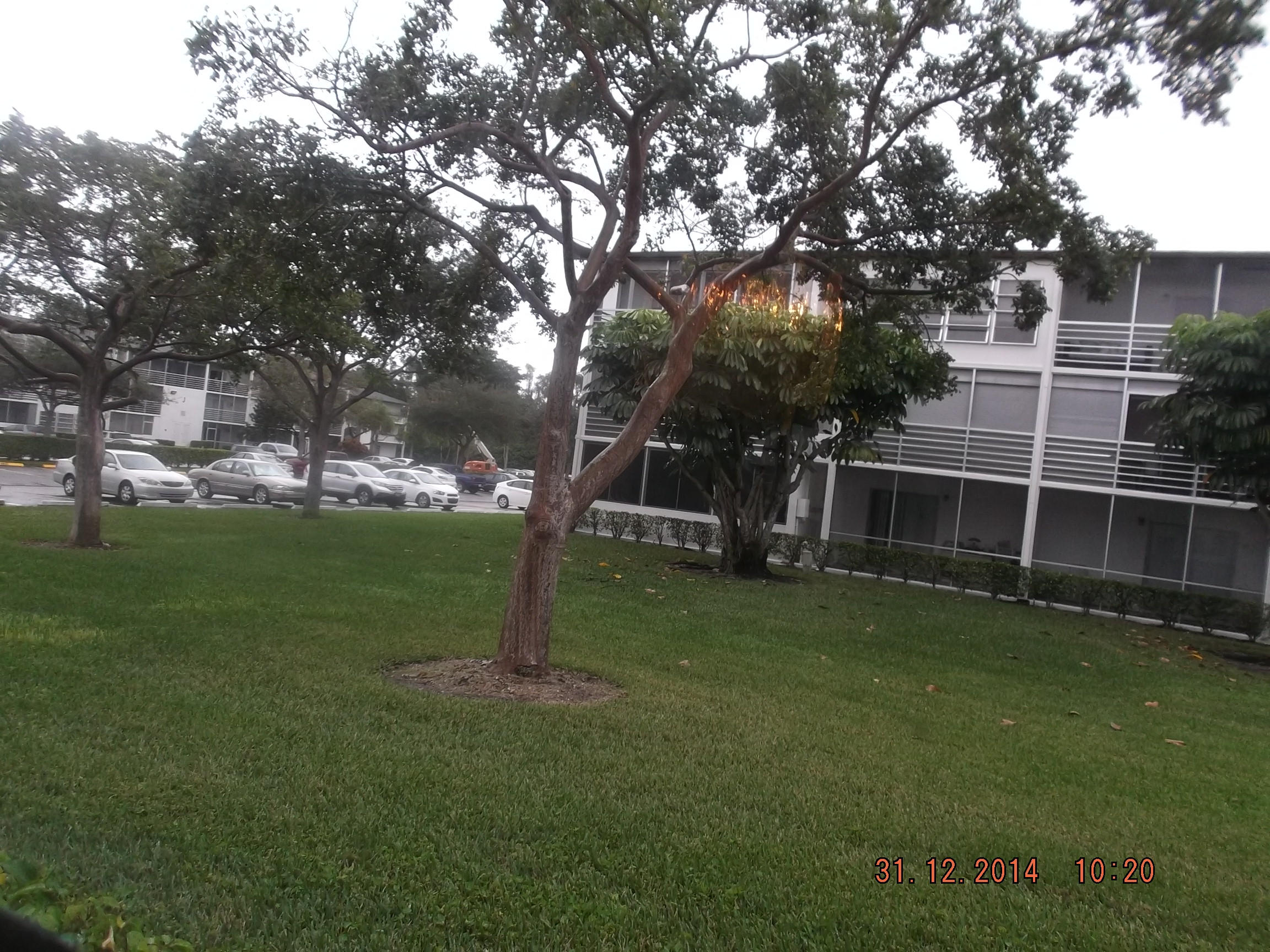 127 Mansfield F, Unit D Boca Raton, FL 33434 - Photo 19 of 20 021
