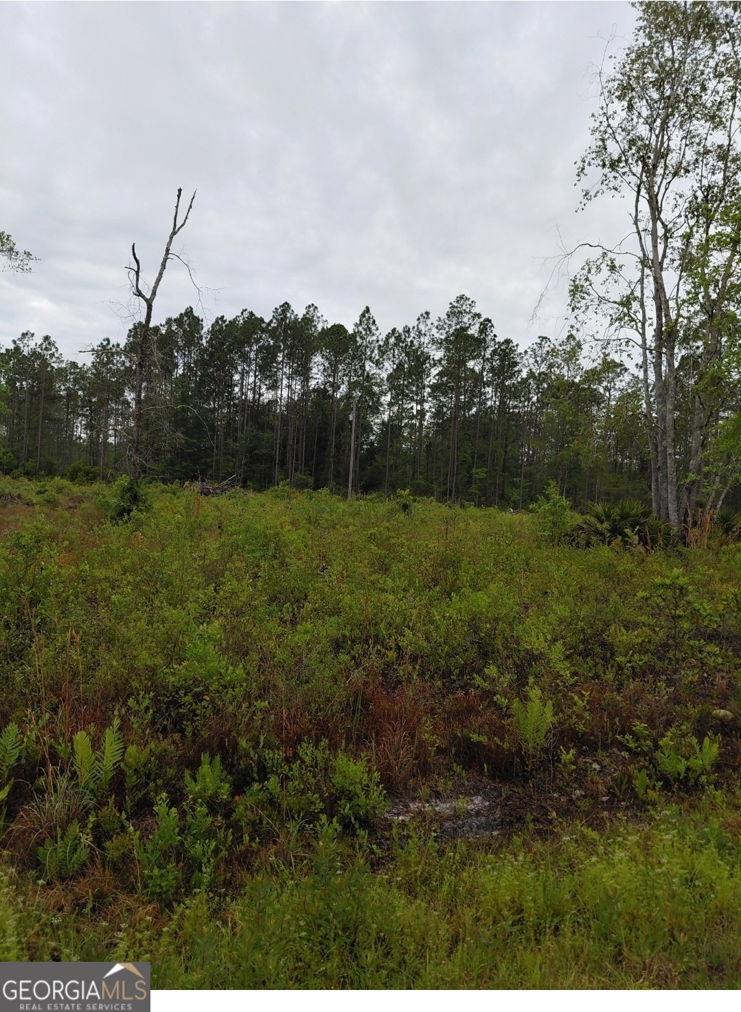 309 Quail Run Road Folkston, GA 31537 - Photo 5 of 22