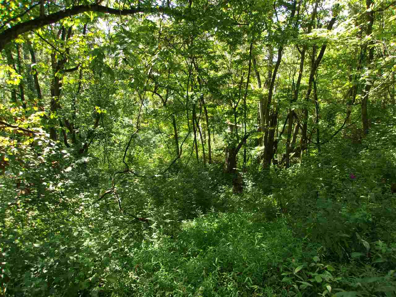 30-acres Dover Road Augusta, KY 41002 - Photo 31 of 50 Gallery Image 31
